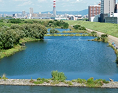 河川・湖沼・海水